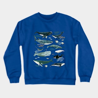 Nautical Nomads Crewneck Sweatshirt